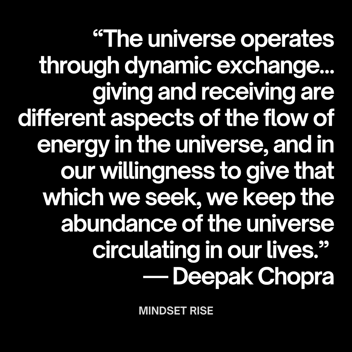 Mindset Rise tweet media