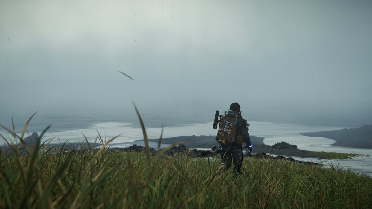 LicoLemes tweet media