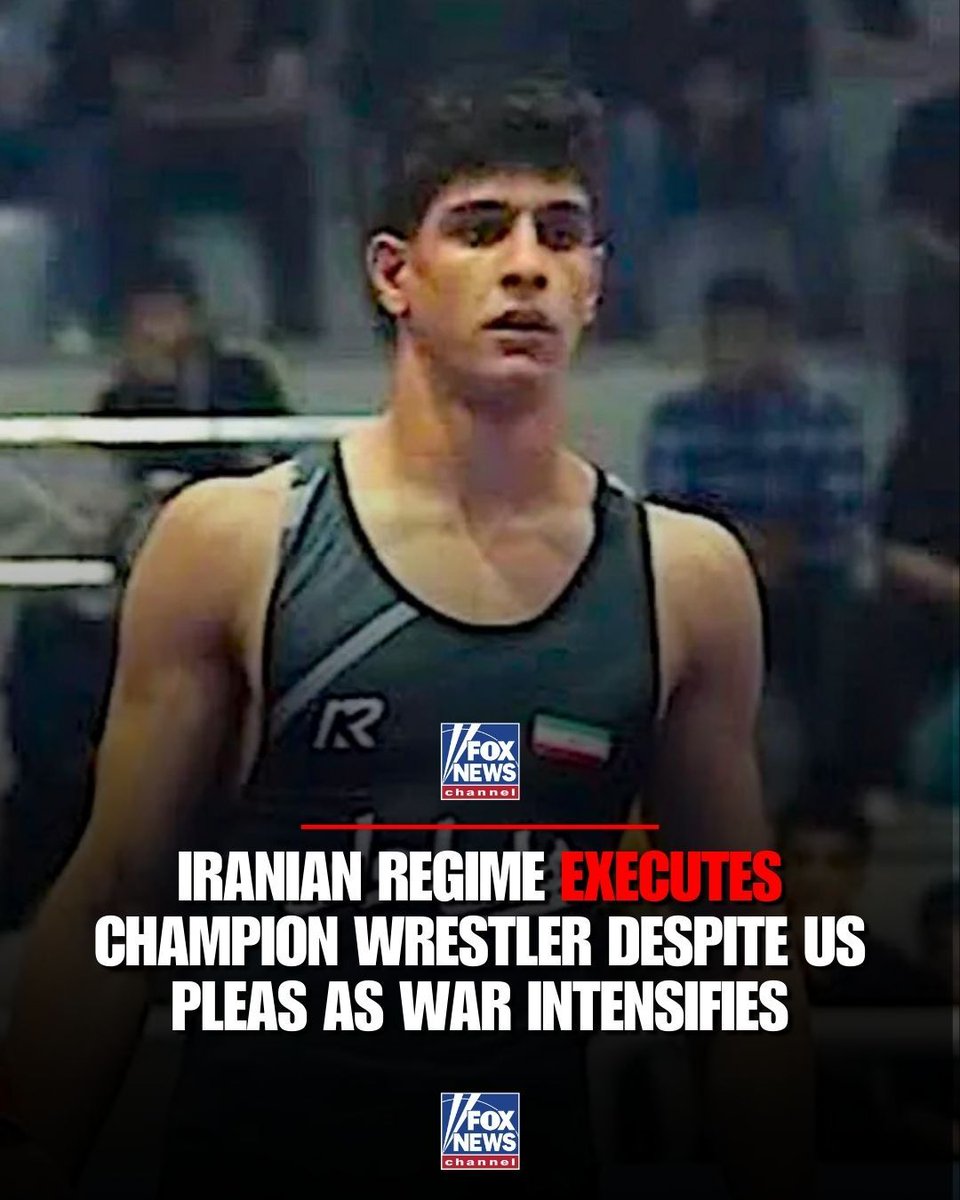 Knightmoose tweet media