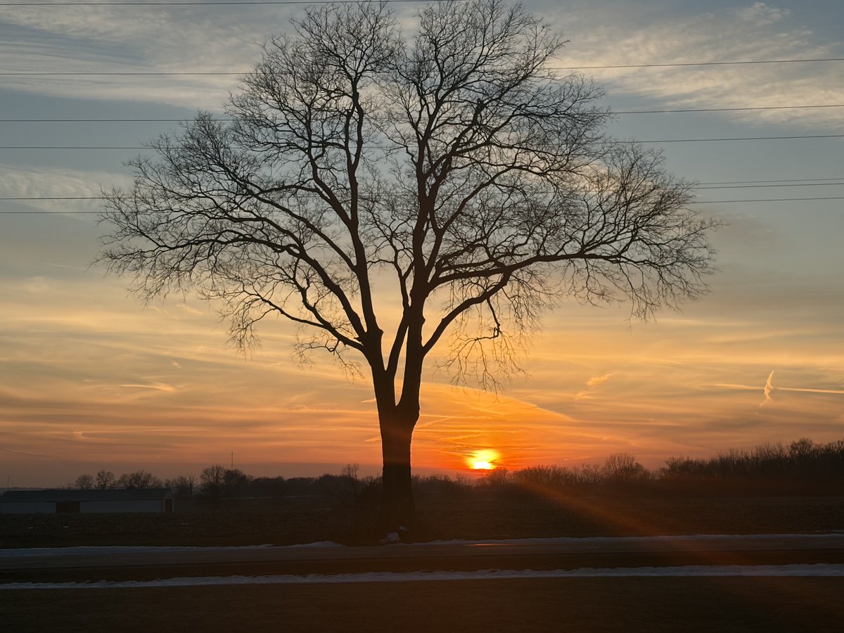 Papa Dino tweet media