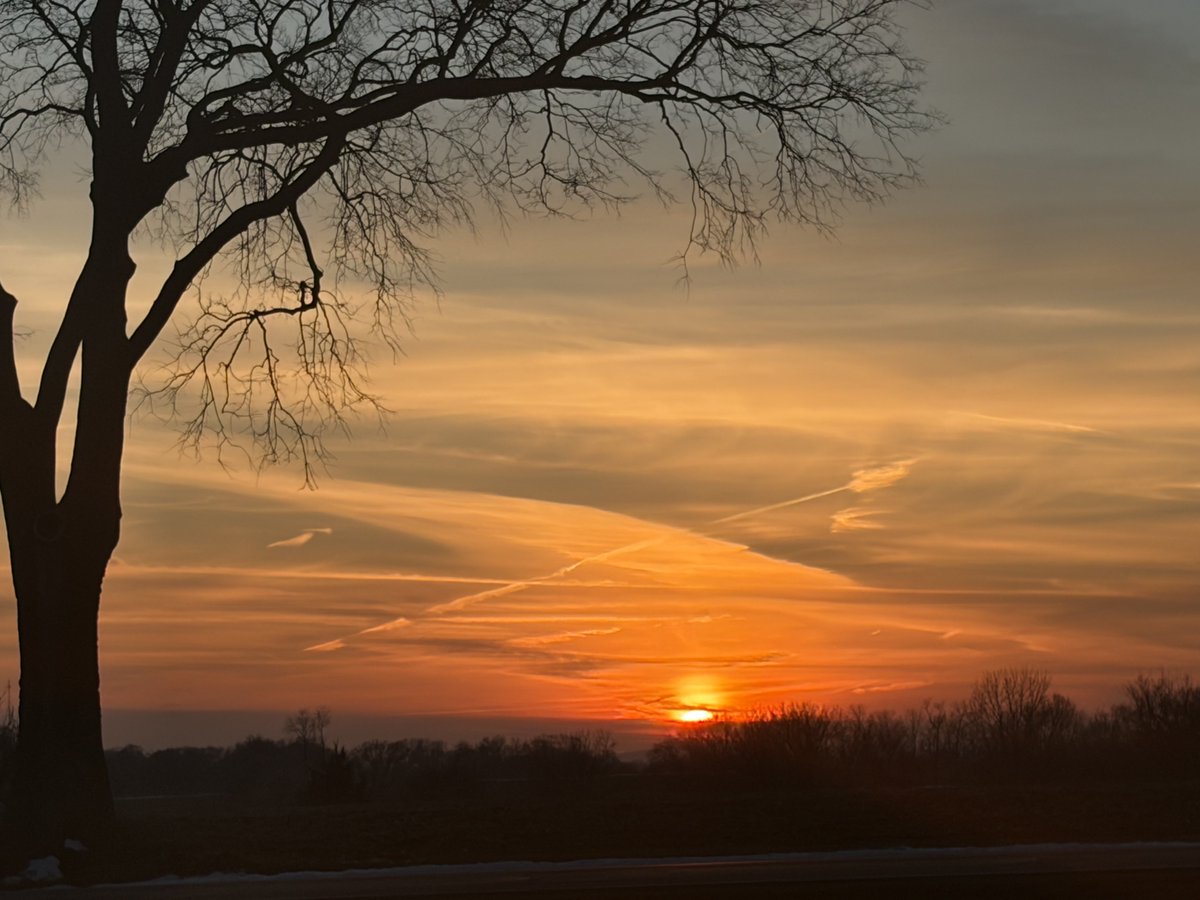 Papa Dino tweet media