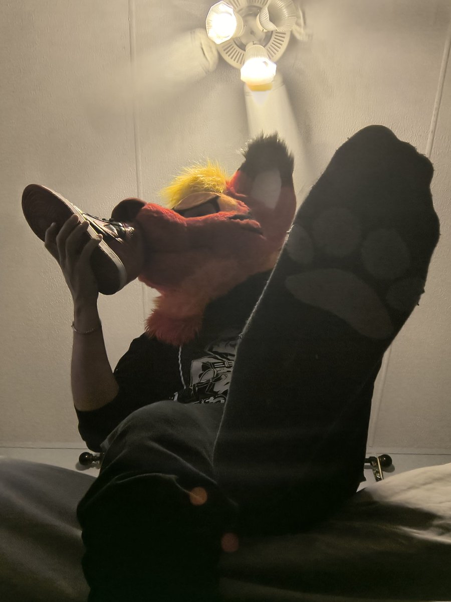 Paw Fag🐾👅 tweet media