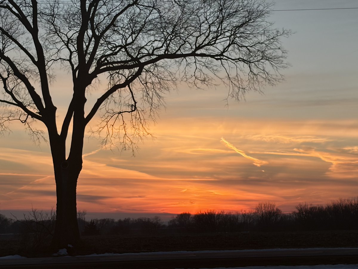 Papa Dino tweet media