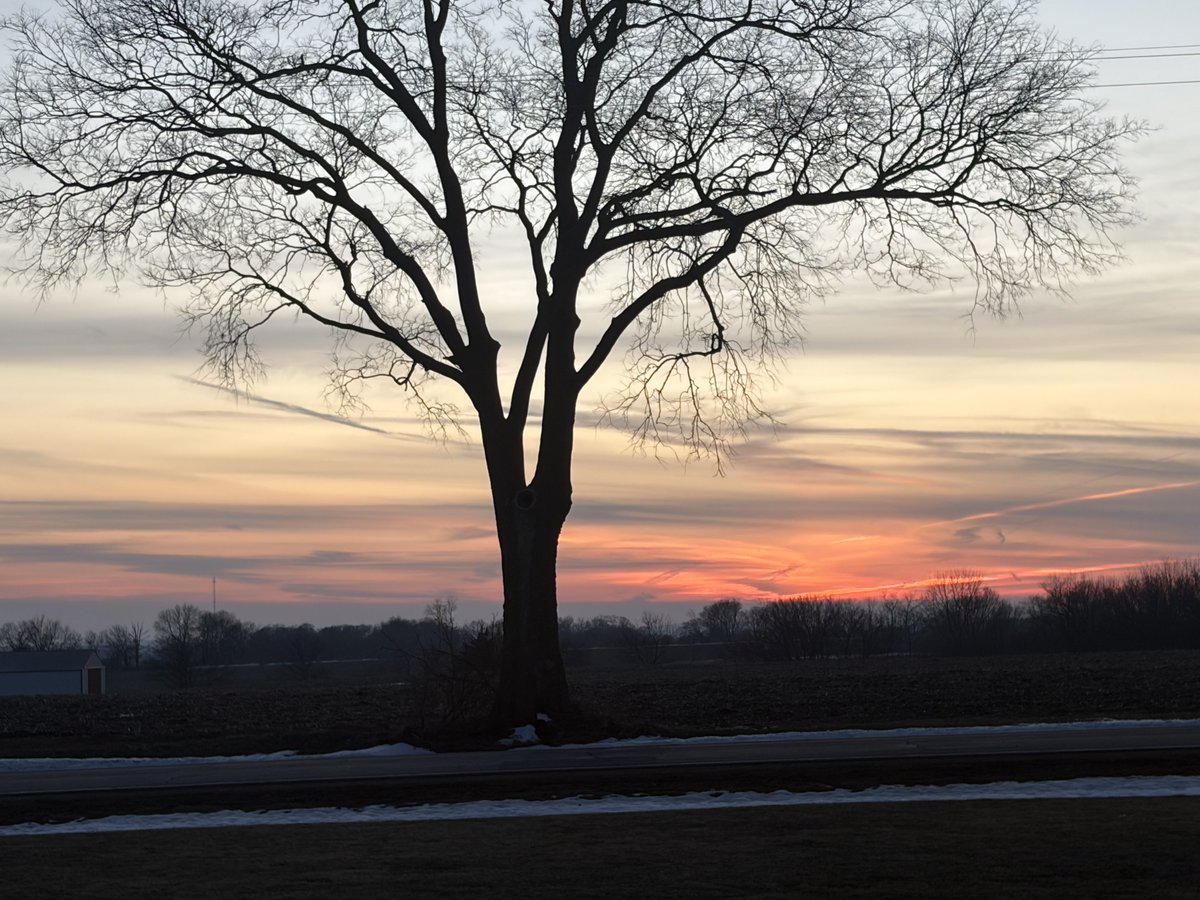 Papa Dino tweet media