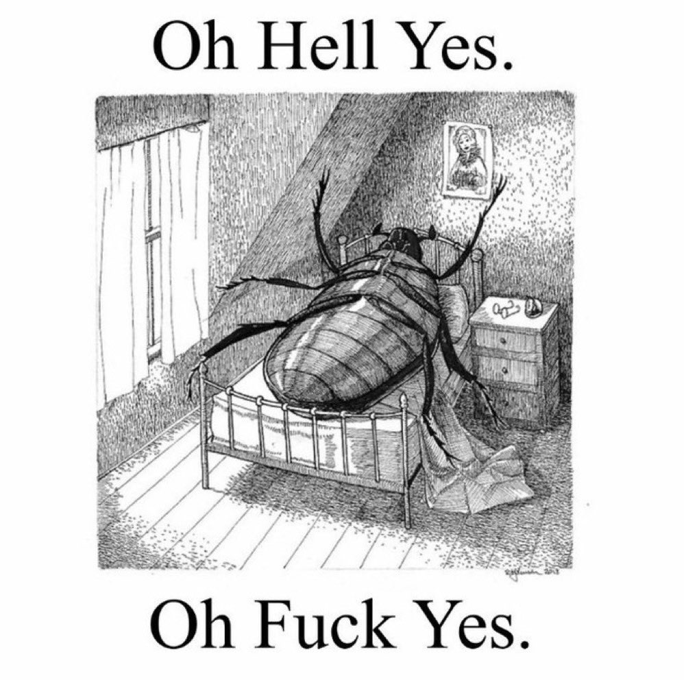 𝐯𝐅𝐢𝐧𝐧 tweet media