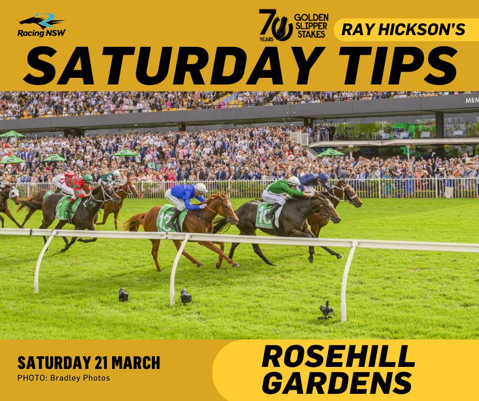 Racing NSW tweet media