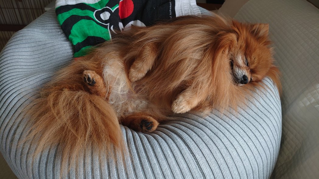 なも🐬 tweet media