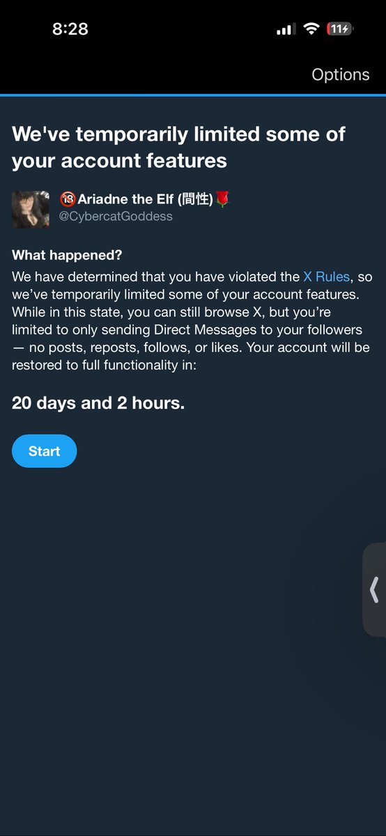 Ariadne the Elfgirl tweet media