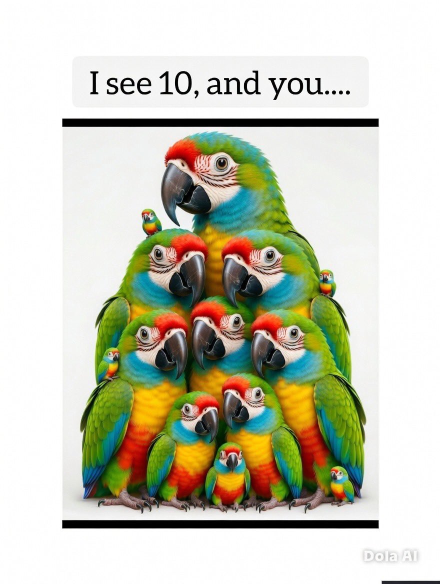 Cairo❤️ tweet media