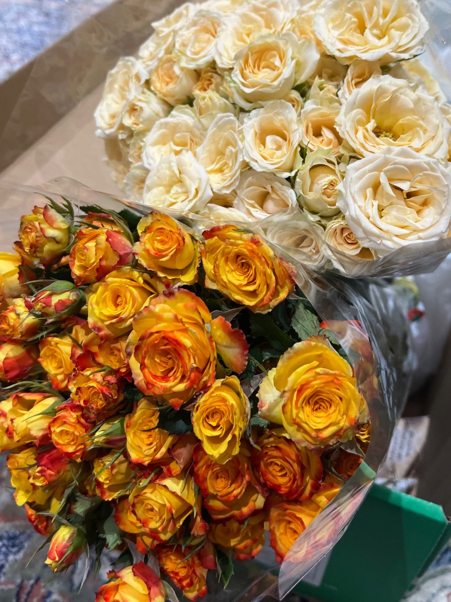 حُوريه tweet media