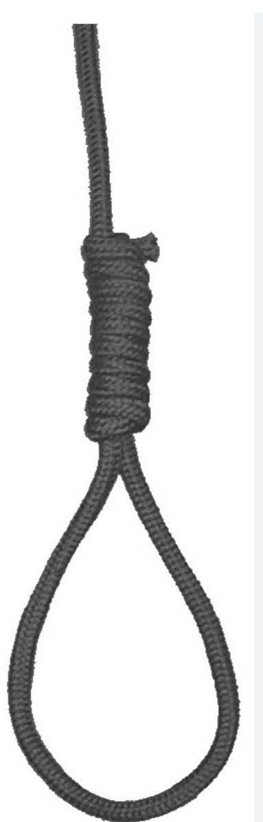 Shaun Nally tweet media