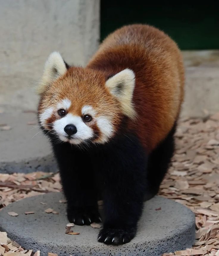 Deep Thoughts 💭 tweet media