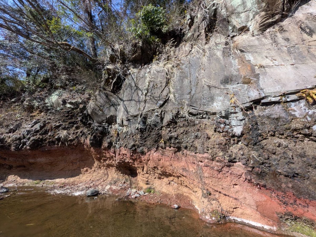 【茨城大】細井研究室 tweet media