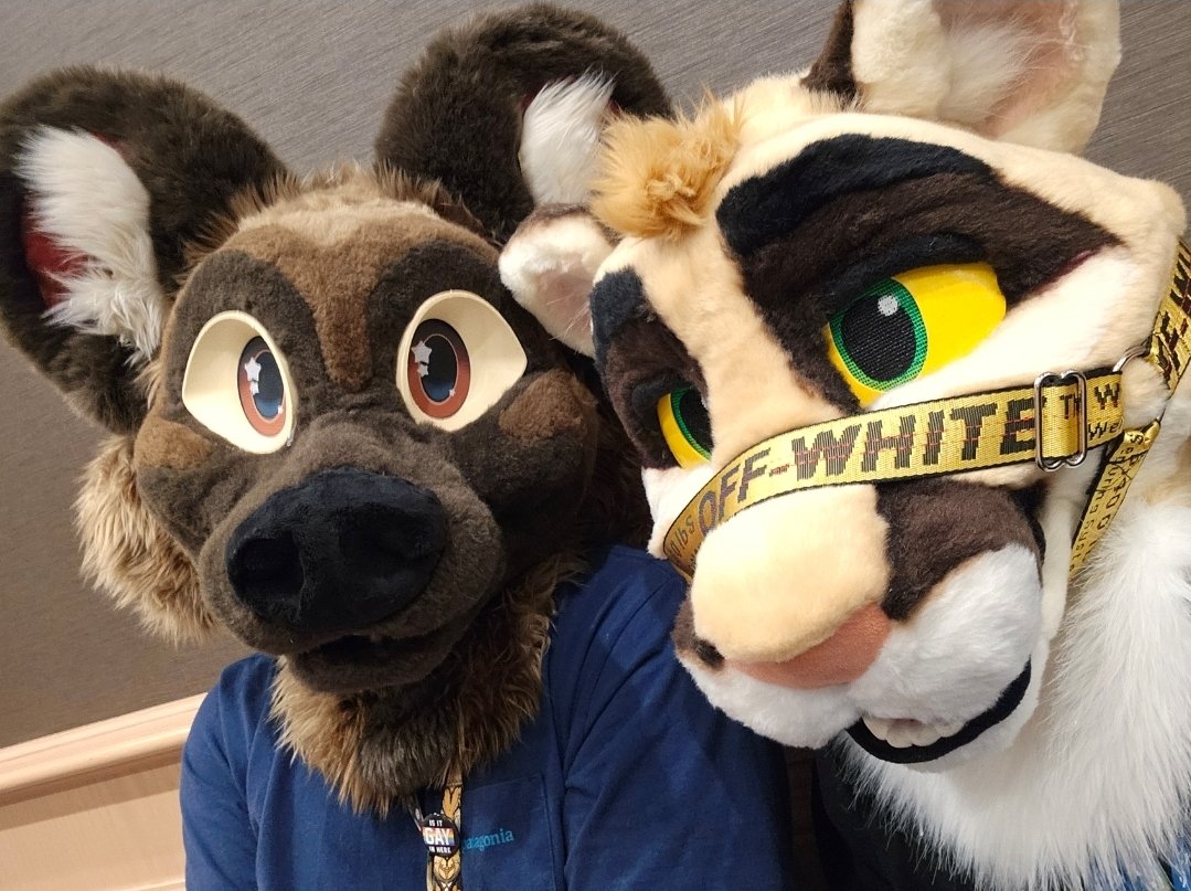 🕯🪦 Alien Mutt🪦🕯⚰️ TFF 🔜 '26 ⚰️ tweet media