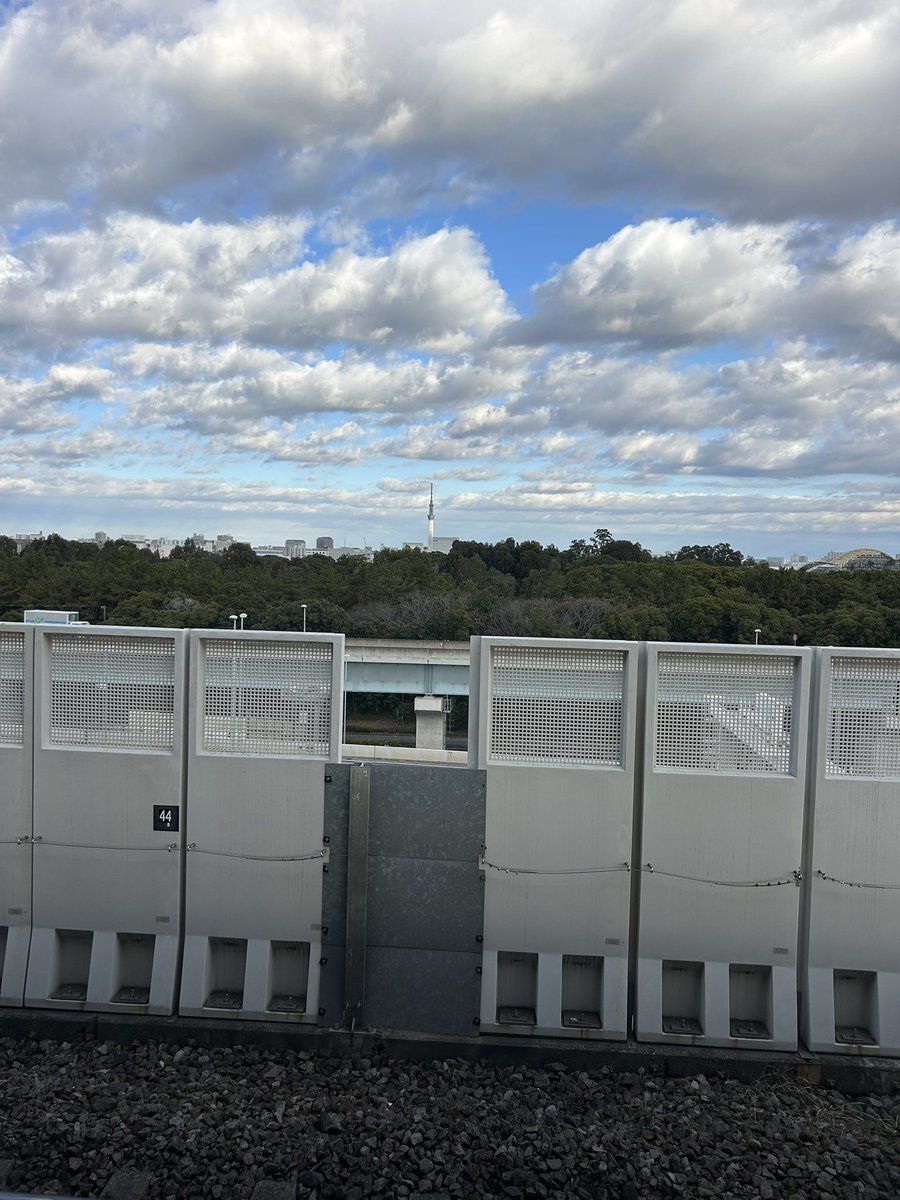 サスペンダー tweet media