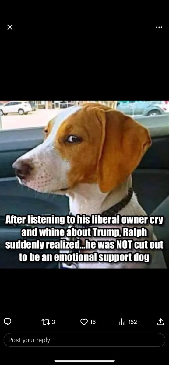 Suzi Kota tweet media