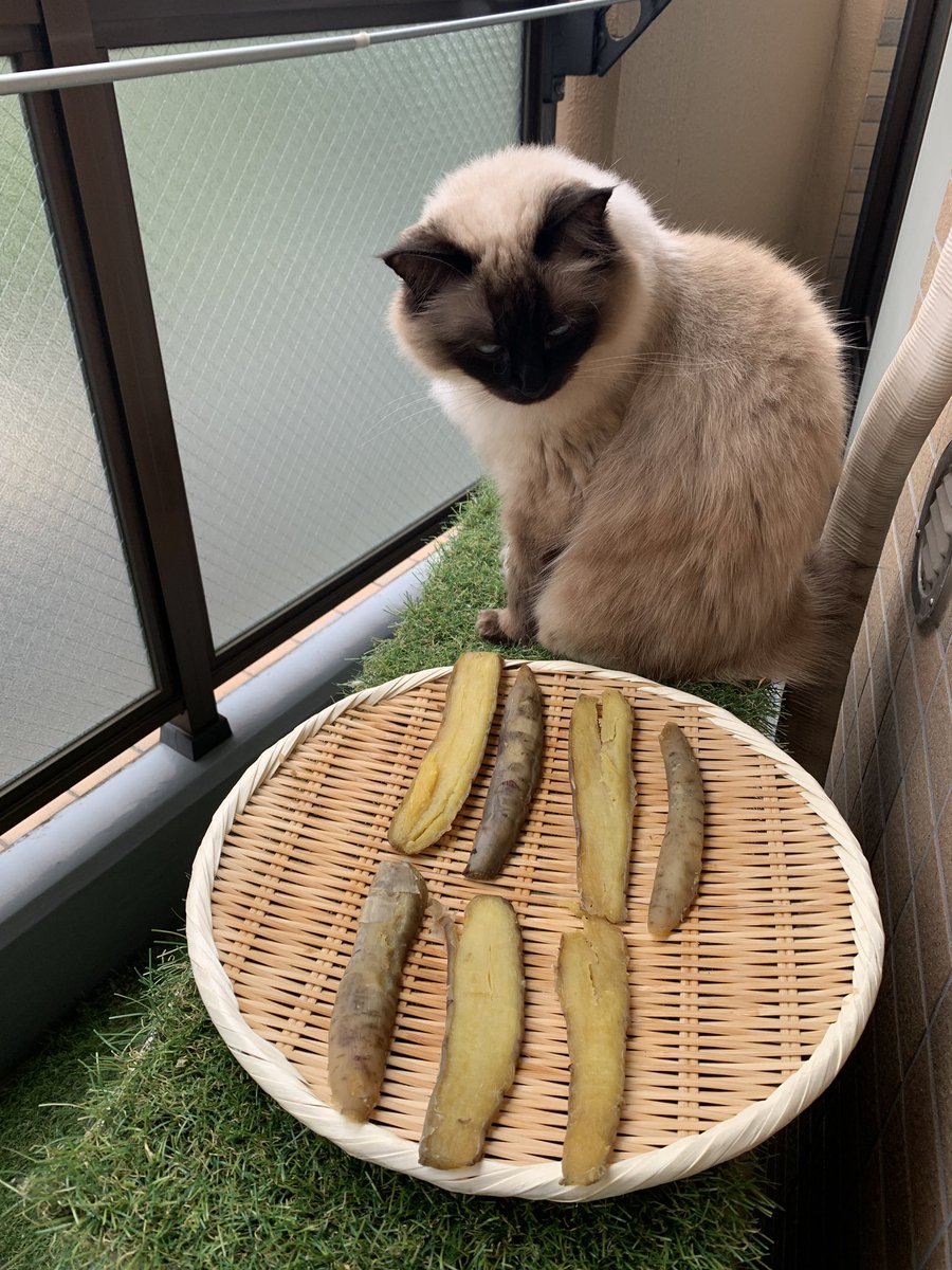 CRAFTNEST/東京代々木上原 製作スペース tweet media