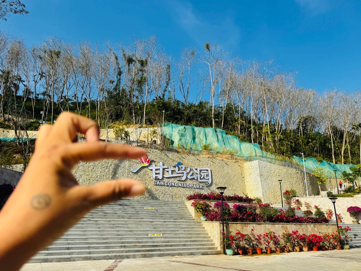 Hi Baoting tweet media