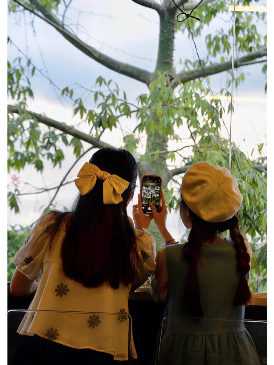 Hi Baoting tweet media