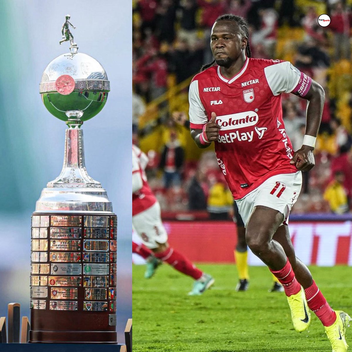 Toque Sports tweet media