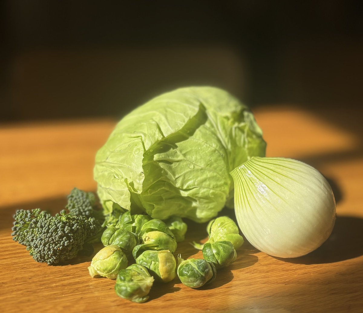 森田洋之@医師・community Dr.／医療経済ジャーナリスト／「医療」から暮らしを守る／音楽家 tweet media