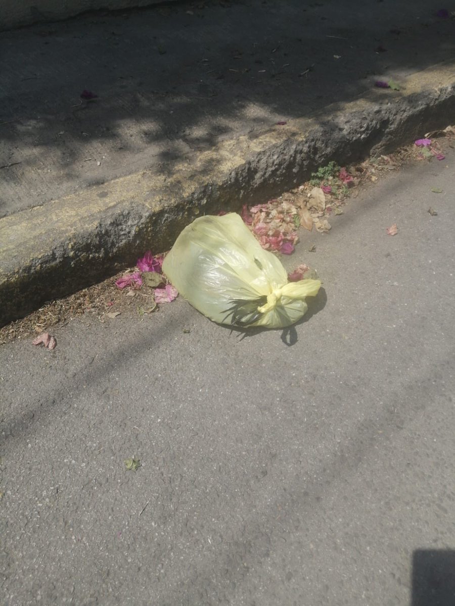 Tlalpan Vecinos tweet media