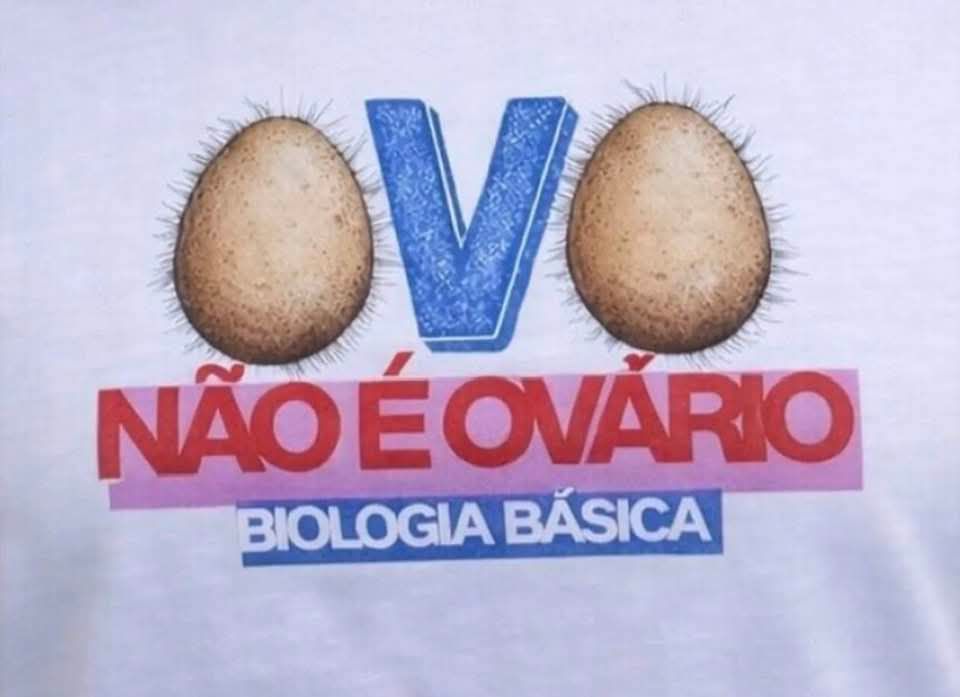 bc_deise's tweet photo. Boa NoiteMundo! https://t.co/BA5Oc2a5eo
