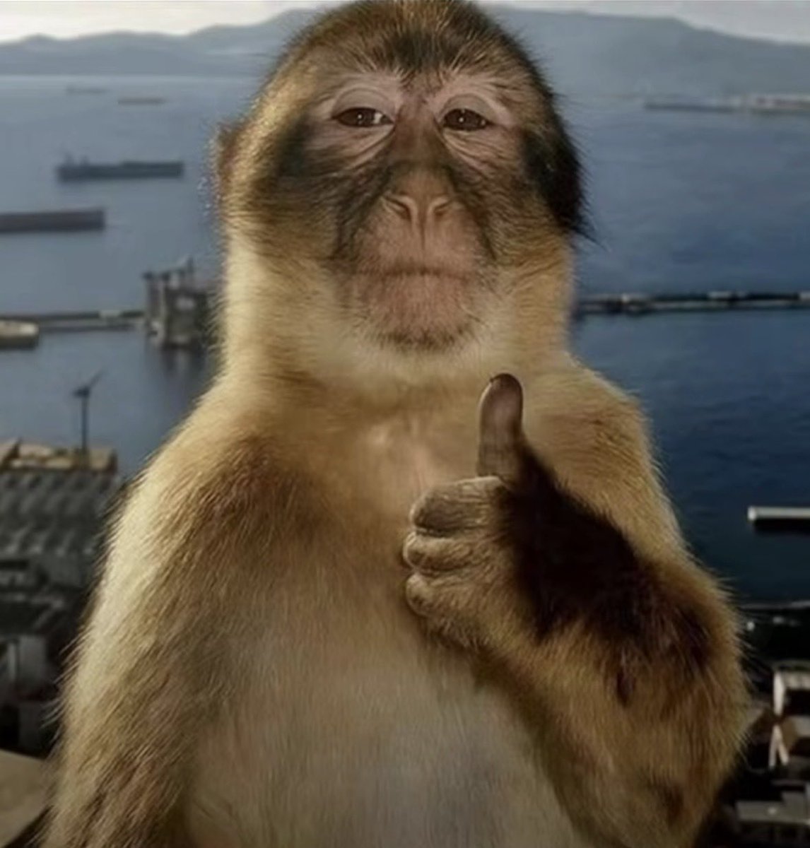 Mrouttheboxx tweet media