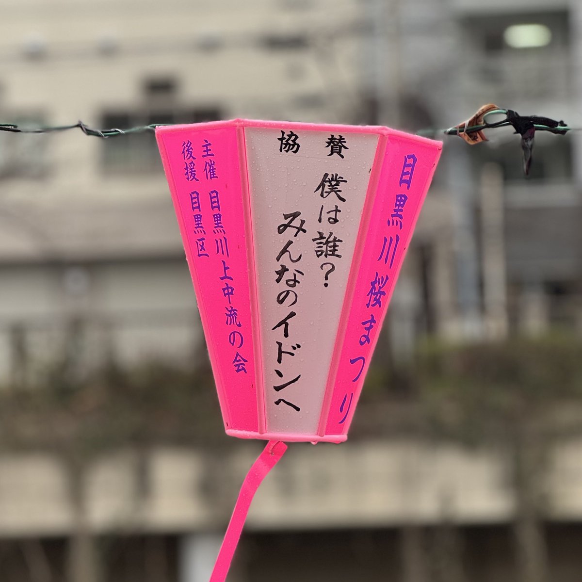 すん☁*° ~ スパショロス中 tweet media