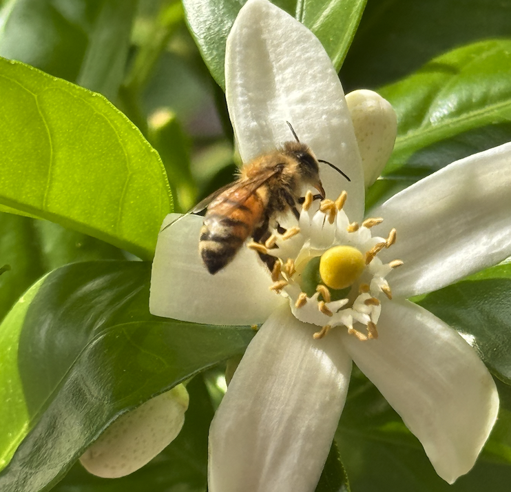 Jeremy Cook 🤖 tweet media