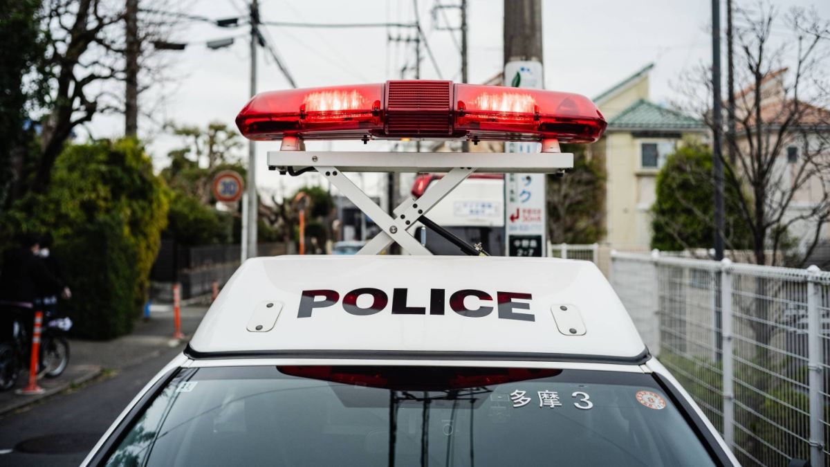 Bright Wire News tweet media