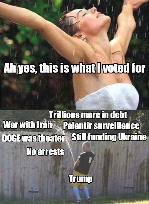 Libertarian Party of Pinellas County tweet media