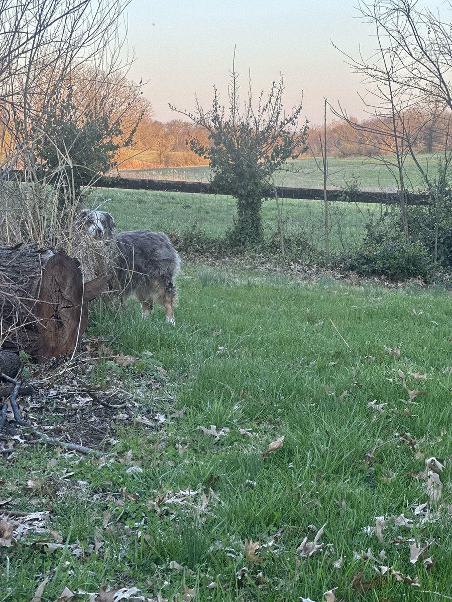 Krystal Cull tweet media