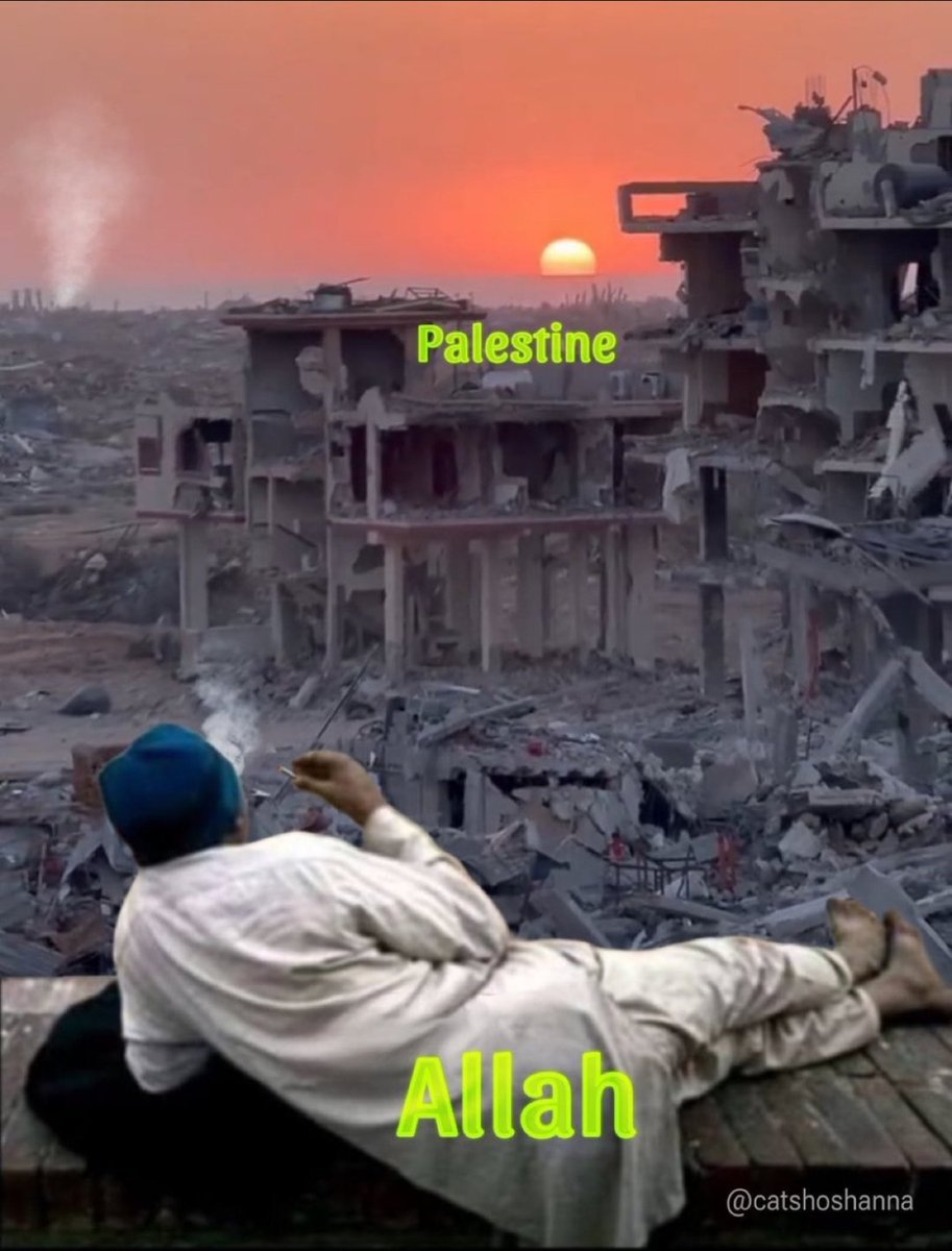 Gammonzilla 🇬🇧 tweet media