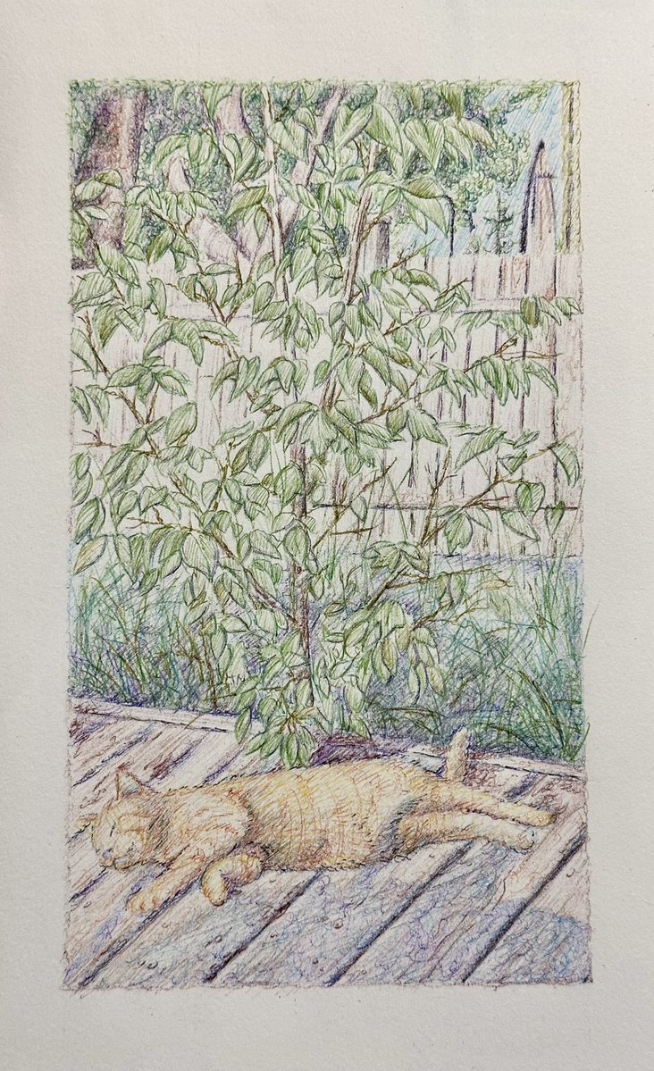 Any1Designs tweet media