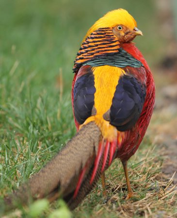 James R Us tweet media