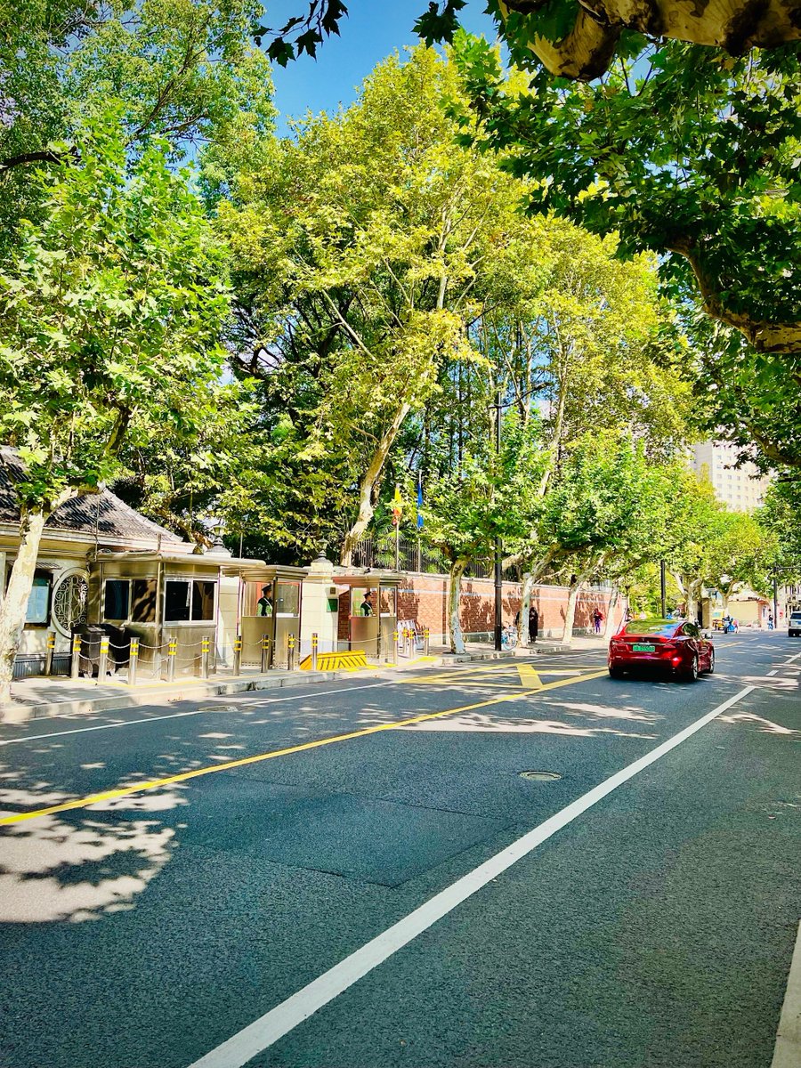 Rehmat Ali tweet media