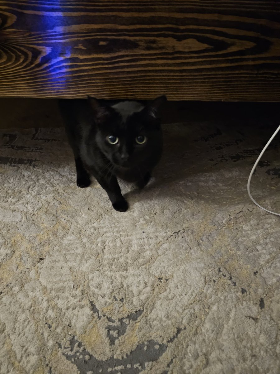 HoltBoi🔞FanBoi tweet media