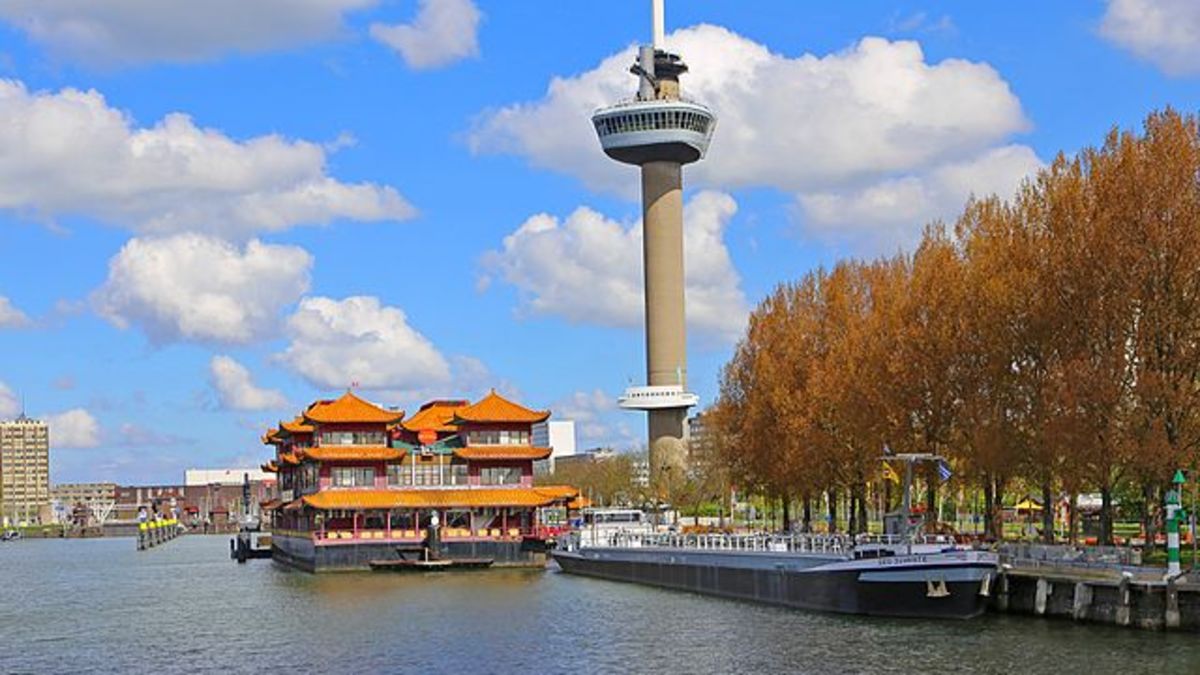 Bright Wire News tweet media