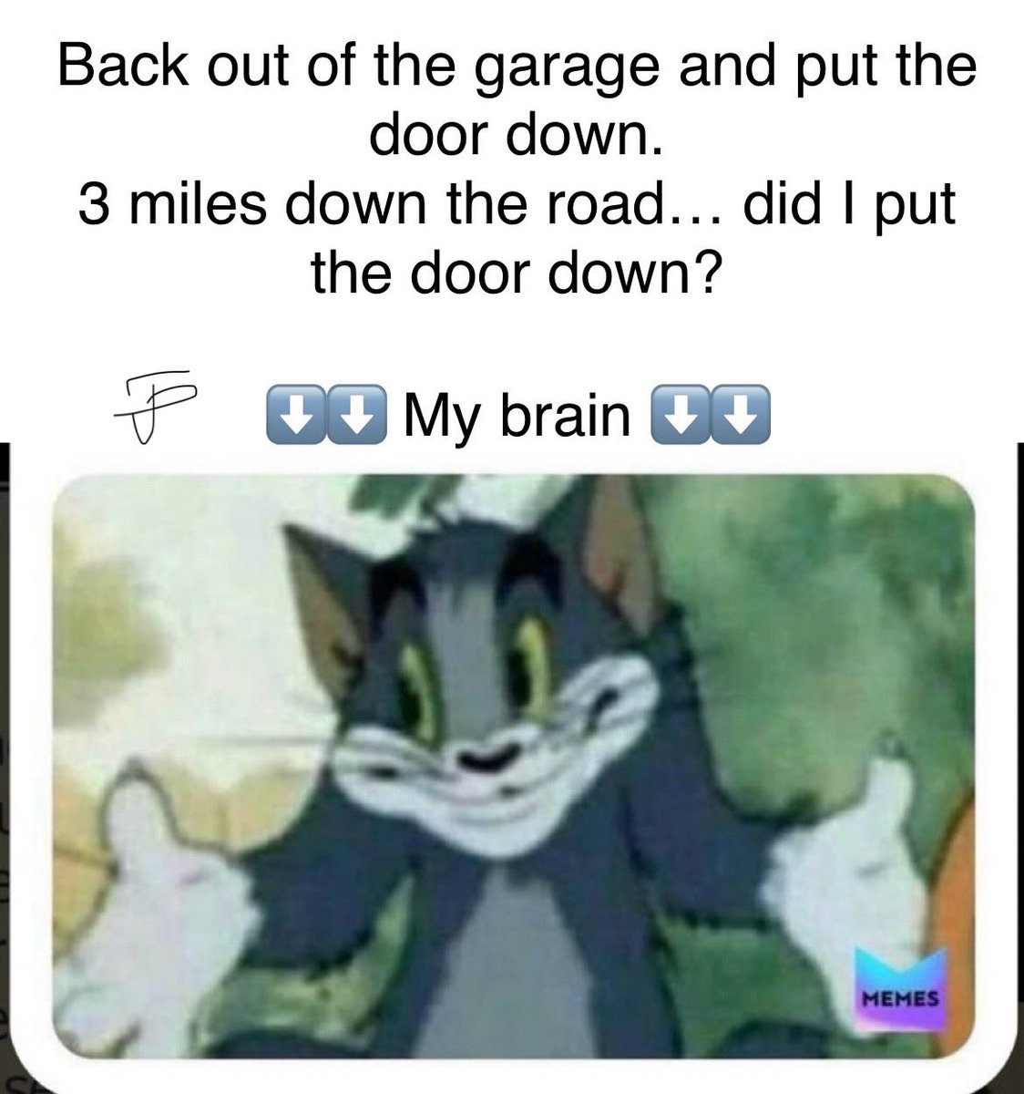 Timm Phillips tweet media