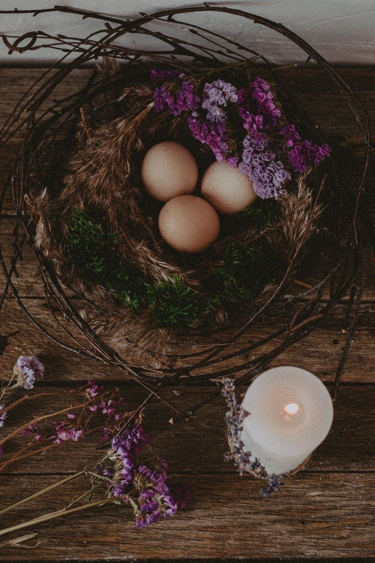 ведьмина избушка 🗝️ tweet media