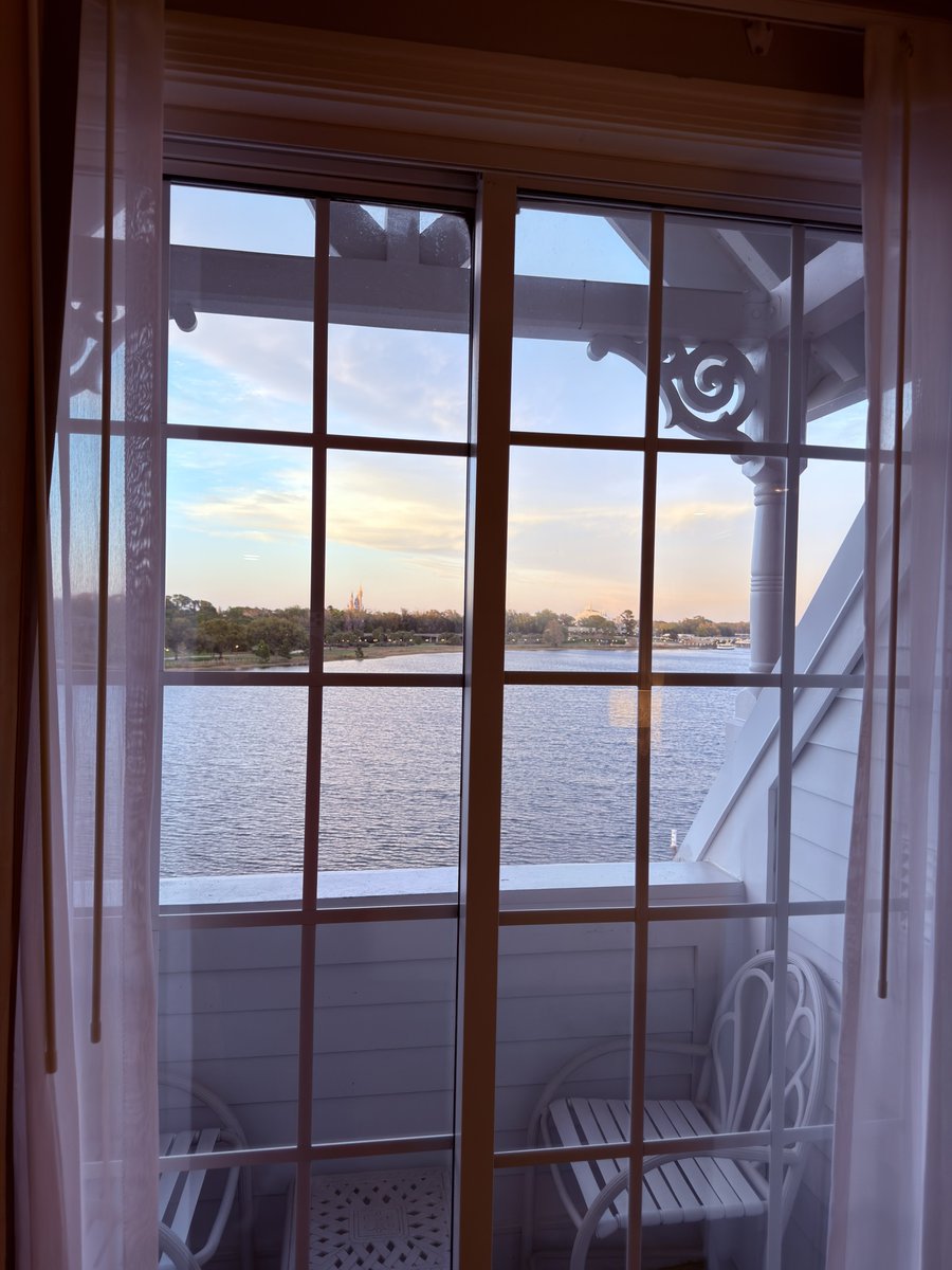 William Backy ® tweet media