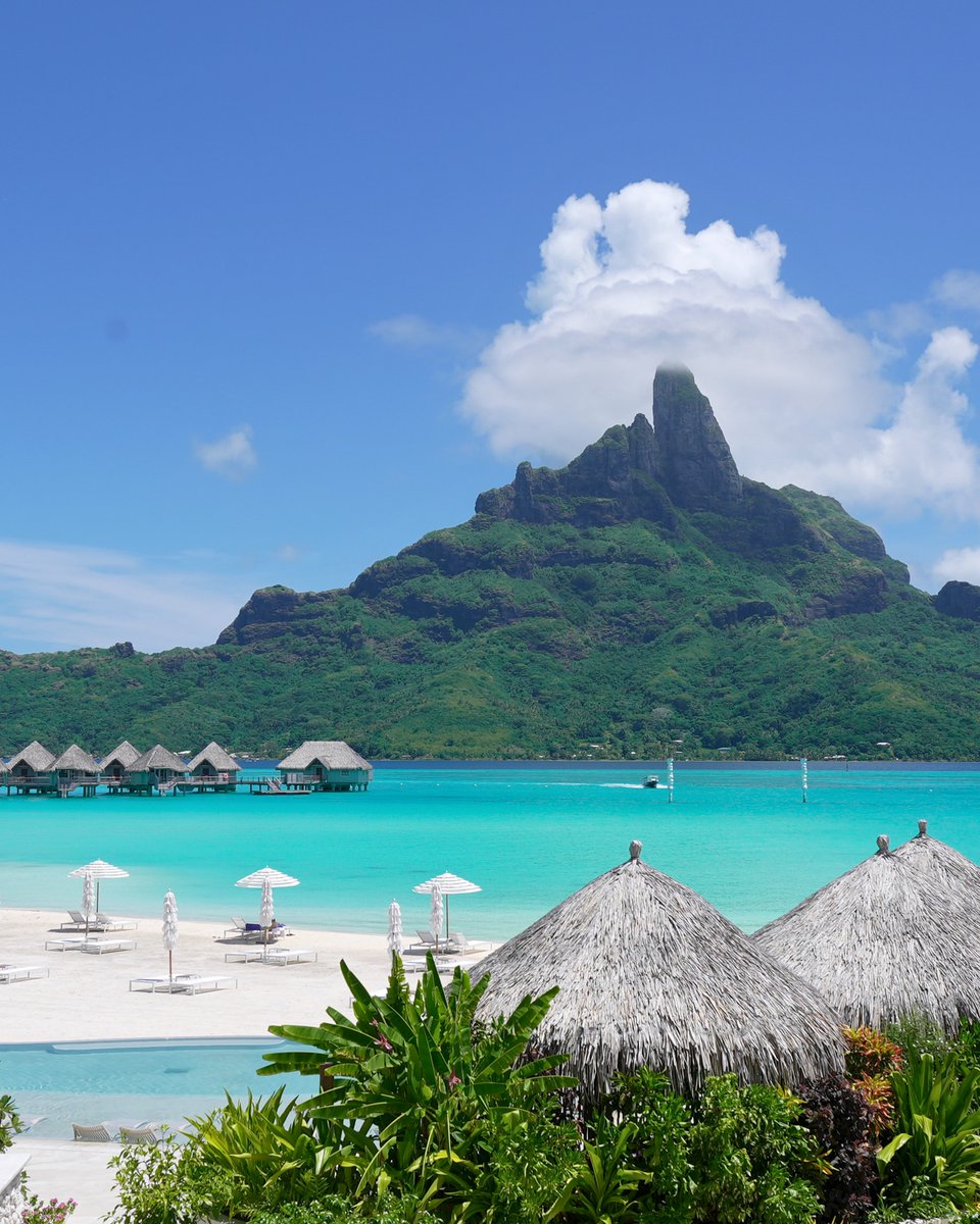 The World tweet media