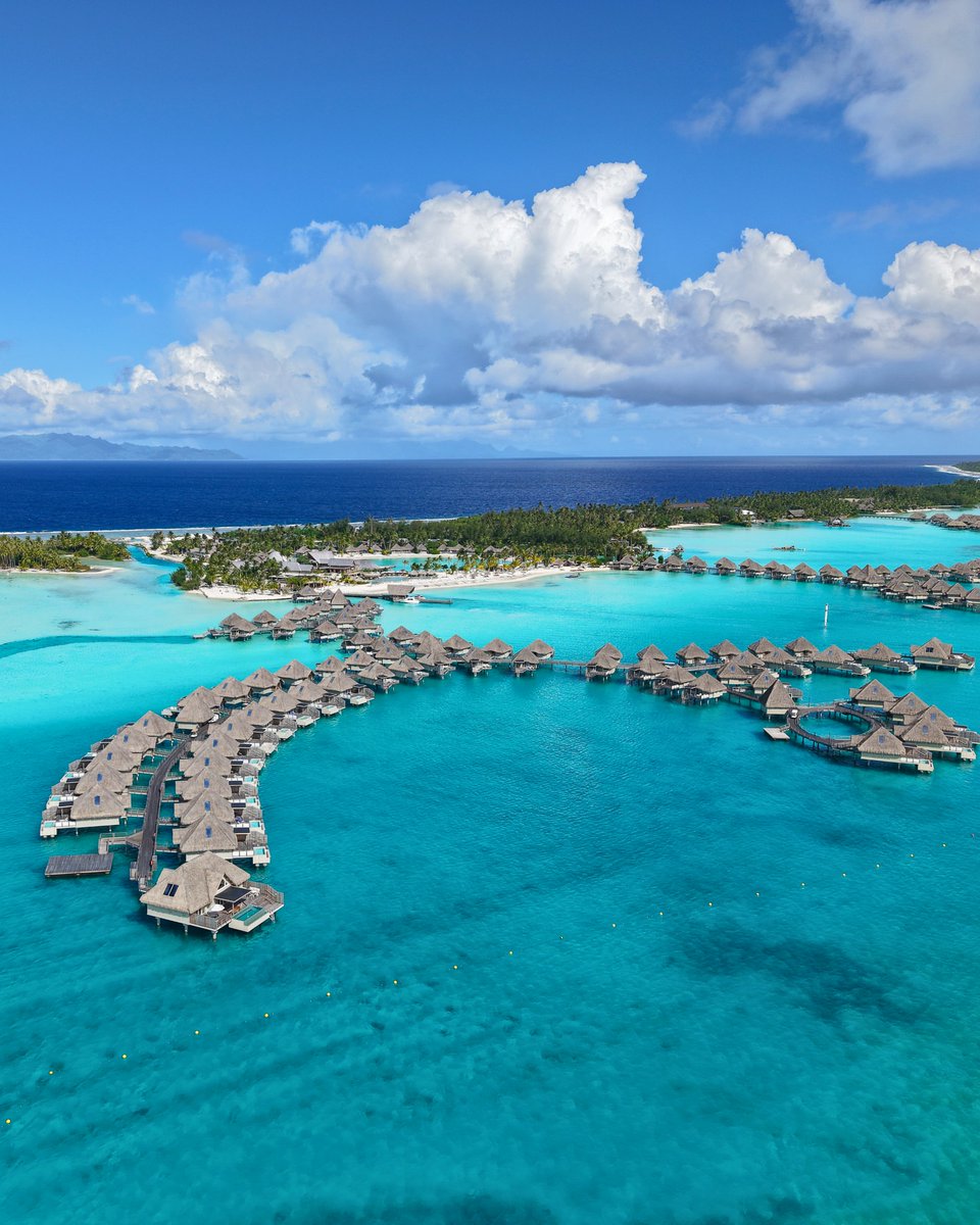 The World tweet media