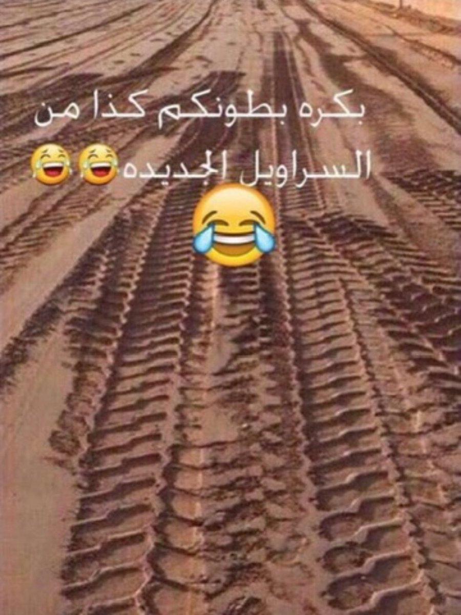 Saud of Rivia 🐺 tweet media