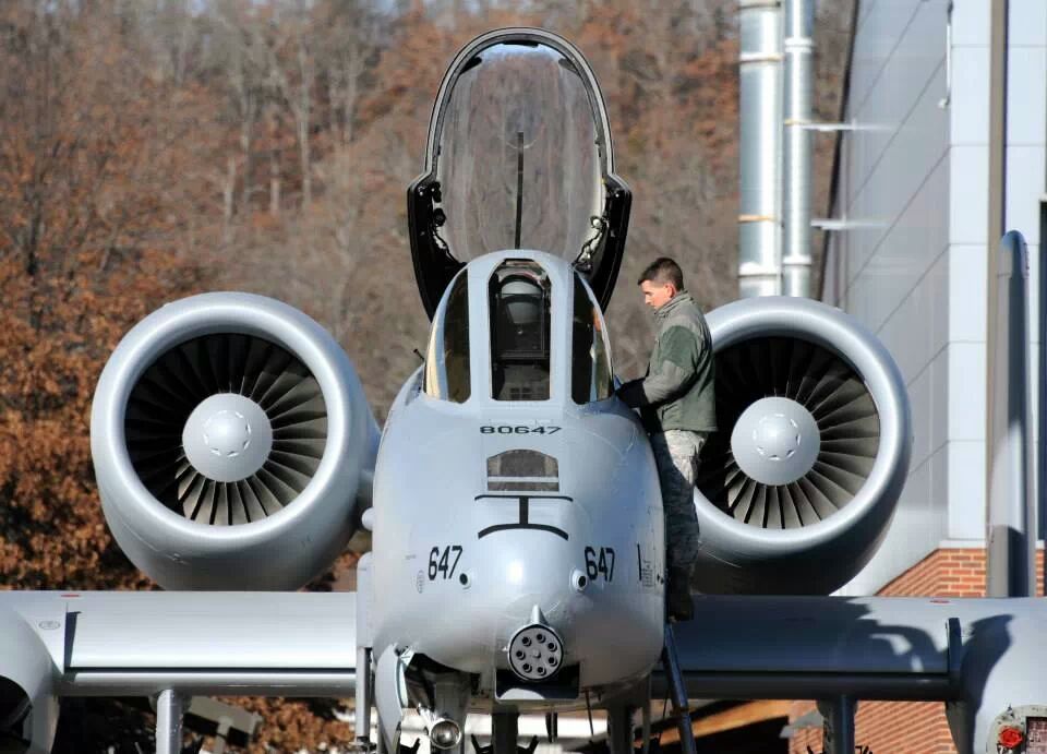 Jay Greer tweet media