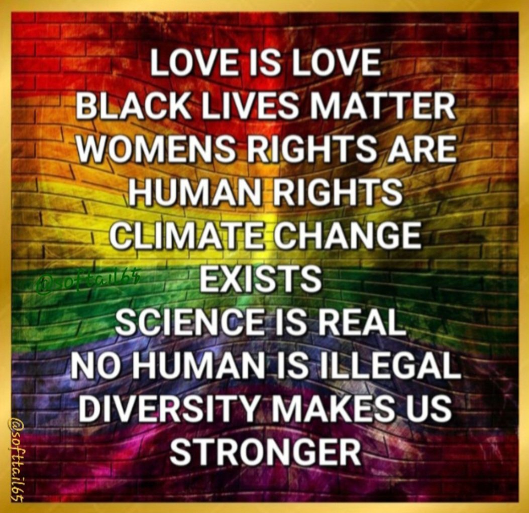 Monica 💙🌻🏳️‍🌈 tweet media