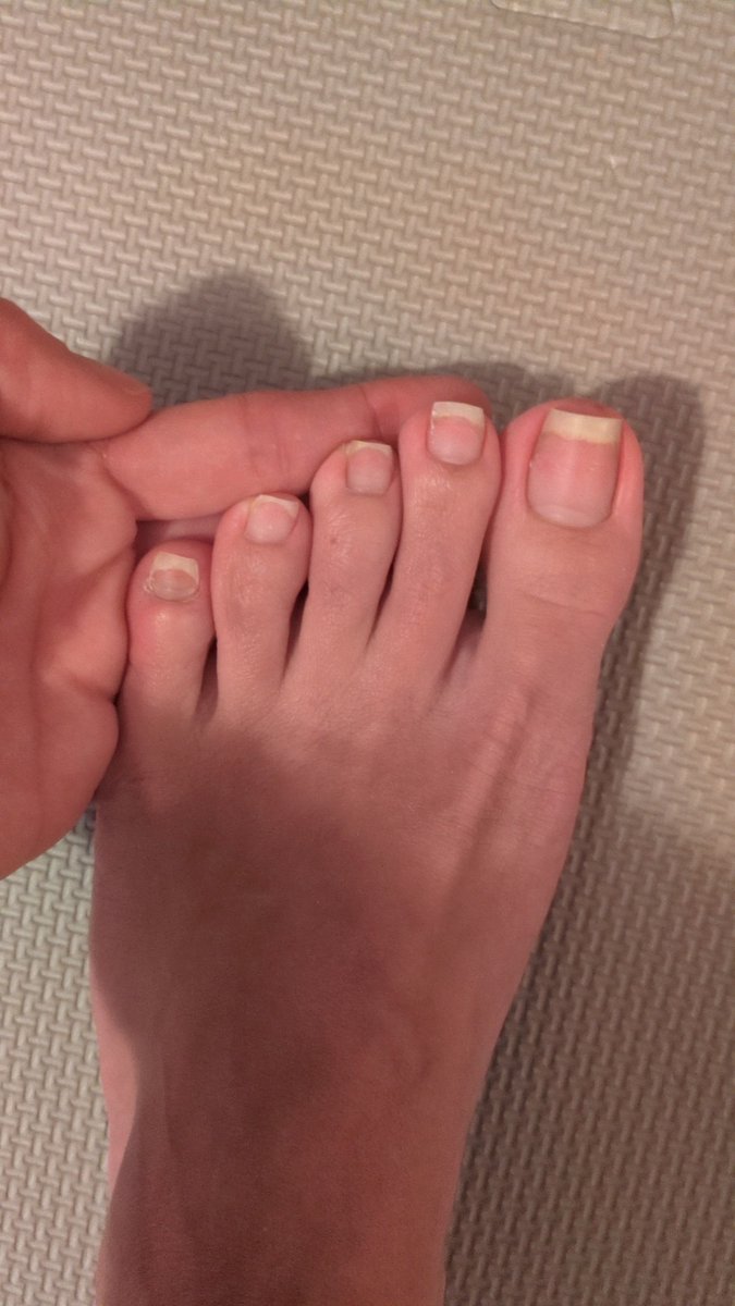 Goddess Lexa🎀🇨🇦 tweet media