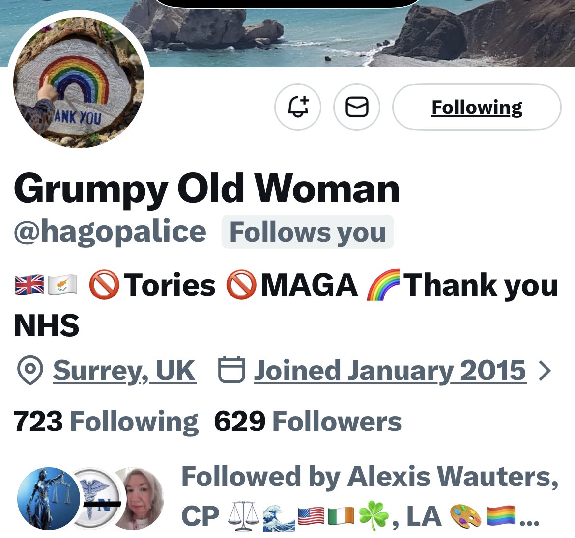 Turquoise Cat tweet media