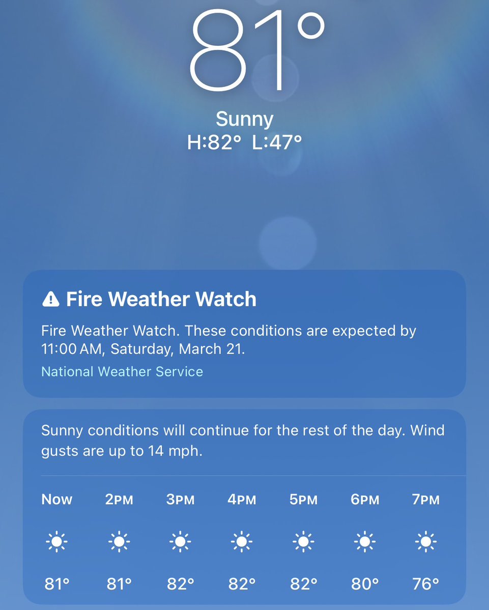 yaya 🍉 tweet media